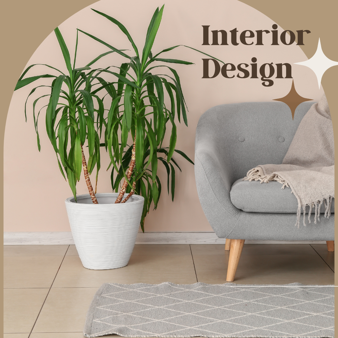 Home & Decoration
