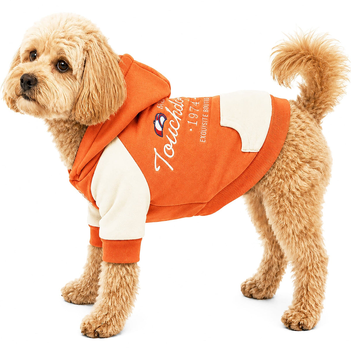 Roupinha para cachorro pequeno