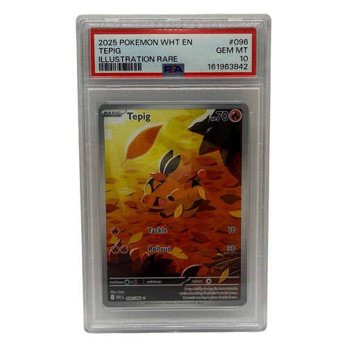 2025 Pokemon White Flare Tepig Illustration Rare #096 PSA 10 GEM MINT