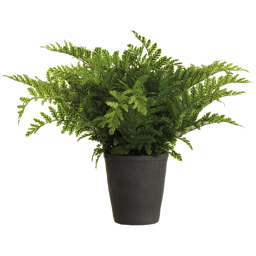 Samambaia Artificial de 20" no Vaso de Cimento